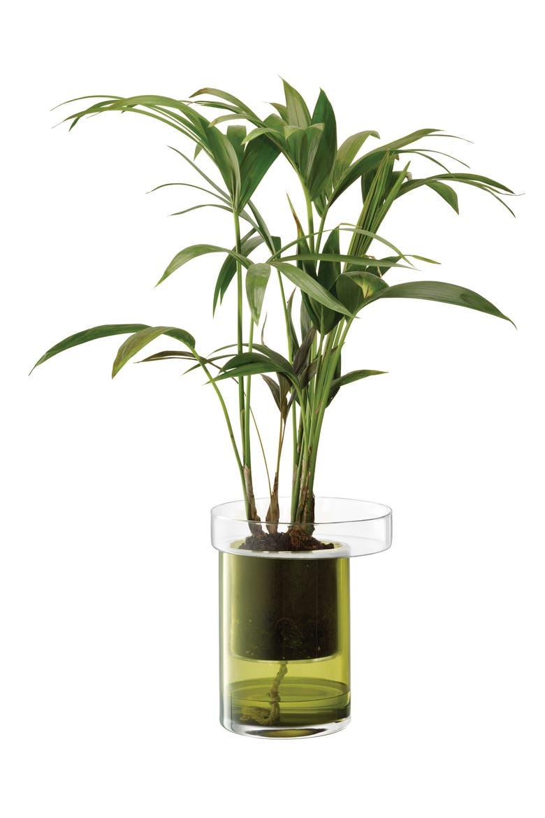 Balcony Self Watering Glass Planter, Alternate, color, GREEN