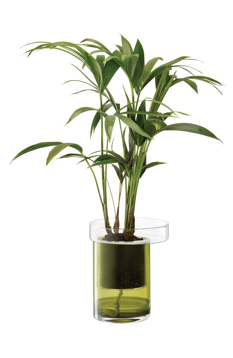 LSA Balcony Self Watering Glass Planter, Alternate, color, Green