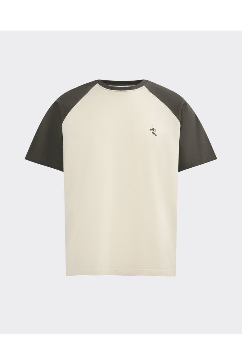 Raglan Tee, Main, color, Grey & Oatmeal