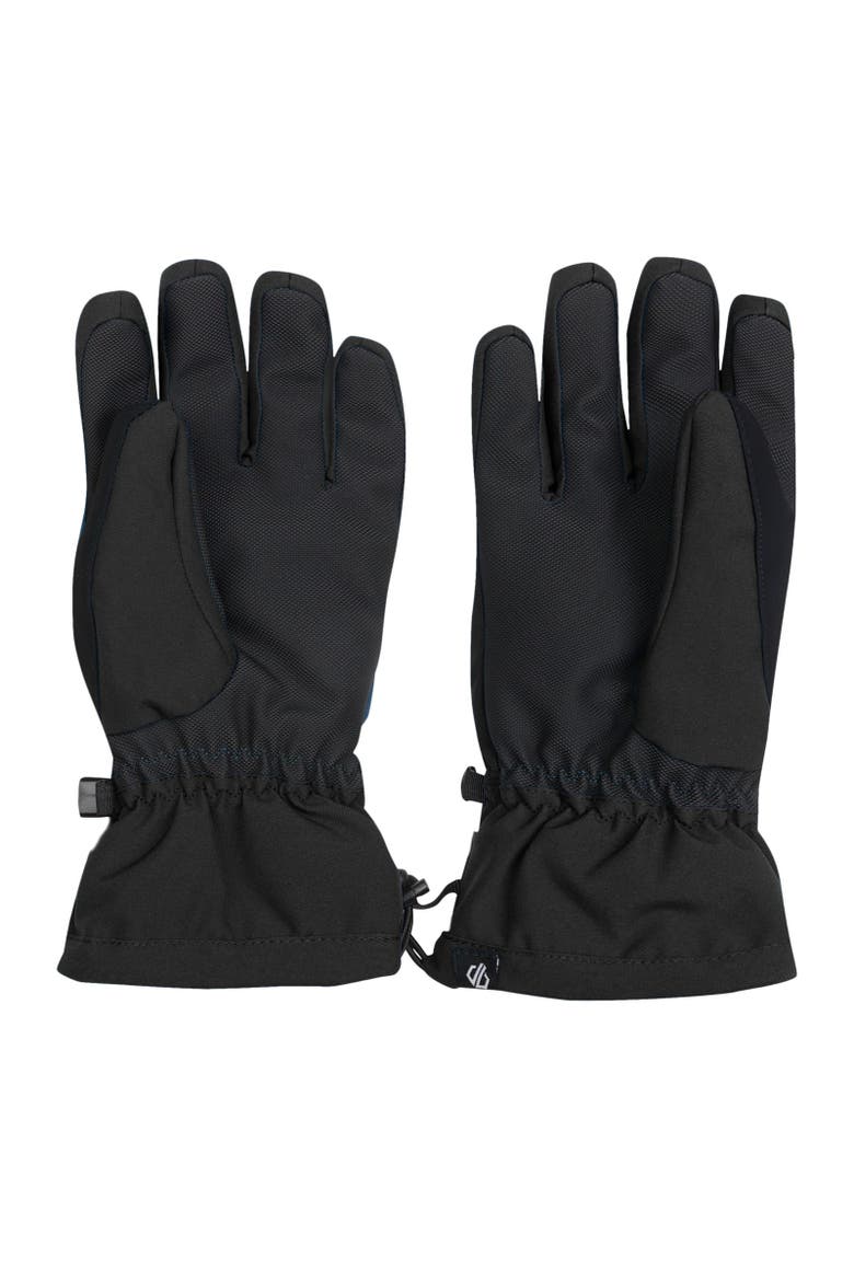 Charisma Iii Logo Ski Gloves, Alternate, color, Black