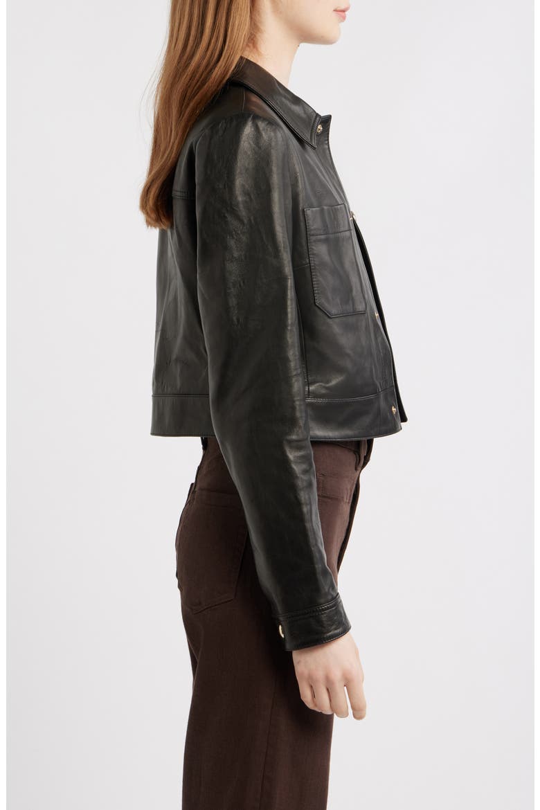 The Small Crop Leather Jacket, Alternate, color, BLACK