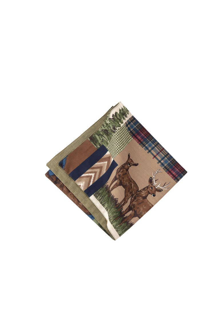Rutherford Cotton Reversible Thanksgiving Cloth Napkin, Set of 6, Main, color, Brown