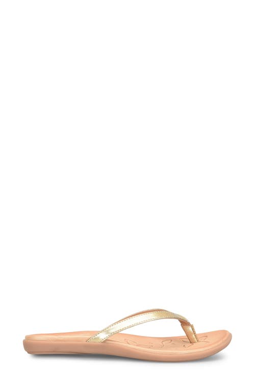 Shop B O C By Børn Hanna Flip Flop