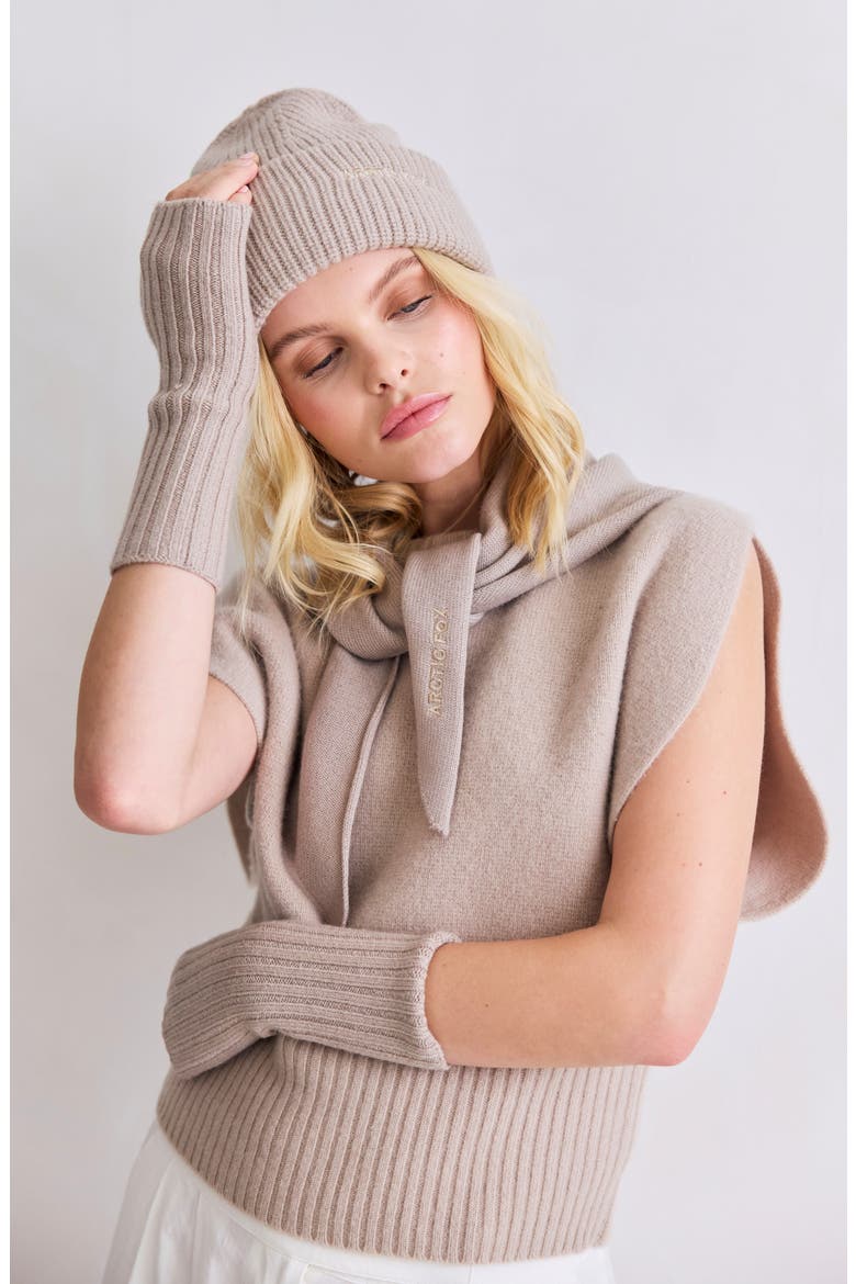 The Embroidered Merino Wool Beanie, Alternate, color, SOFT TAUPE