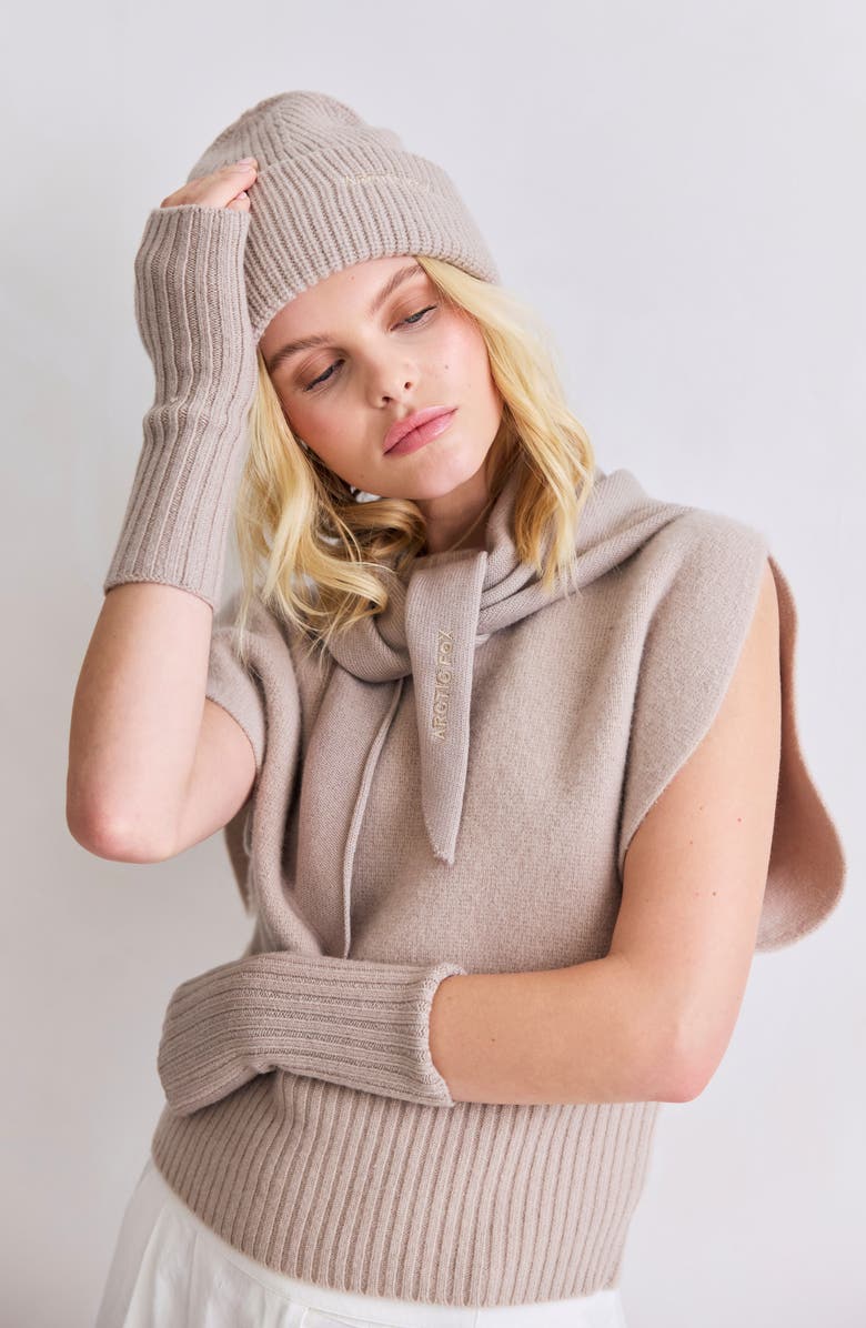 Arctic Fox & Co The Embroidered Merino Wool Beanie, Alternate, color, Soft Taupe