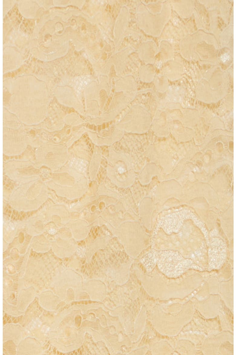 Sheer Floral Lace Tights, Alternate, color, BETULLA