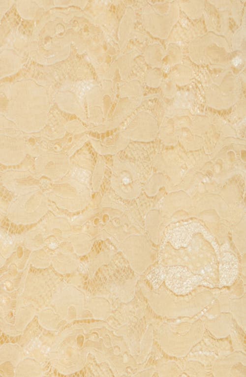 Valentino Beige Floral Lace Tights With Logo Waistband In Betulla