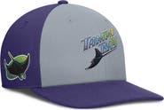Nike Men's Nike Gray/Purple Tampa Bay Rays Pro Performance Snapback Hat