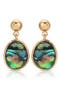 selected Abalone
