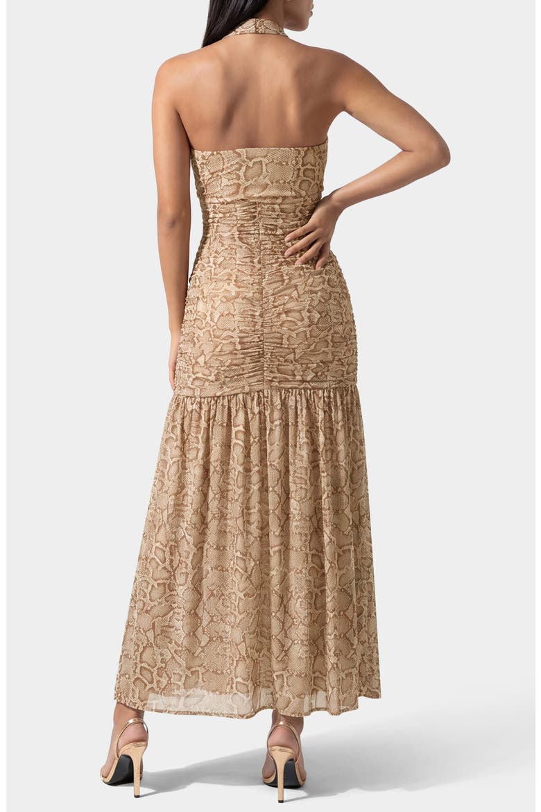 Print Mesh Halter Maxi Dress, Alternate, color, ANIMAL
