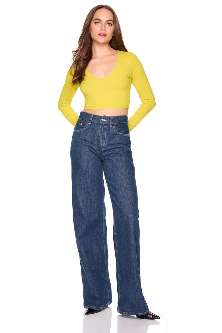 Long Sleeve V-Neck Crop Top, Alternate, color, ENVDIVE