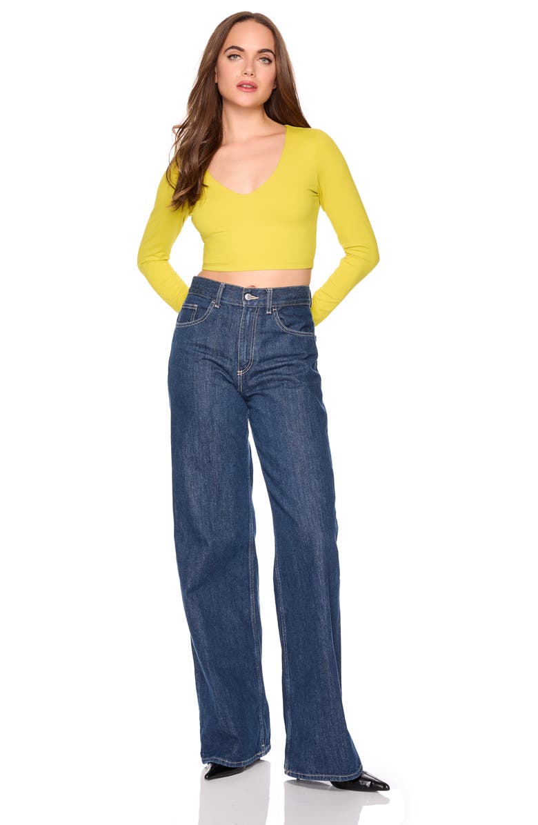 Susana Monaco Long Sleeve V-Neck Crop Top, Alternate, color, Envdive