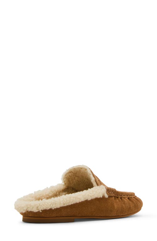 Steve Madden Rafe Genuine Shearling Mule In Brown