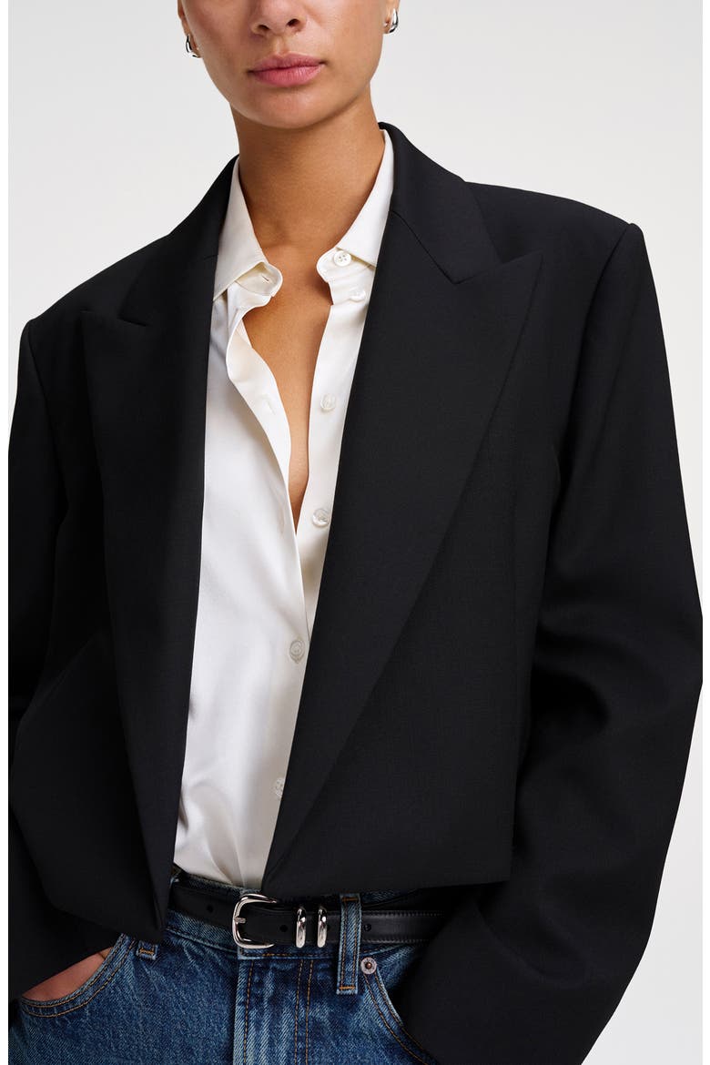 Cass Cropped Blazer, Alternate, color, BLACK