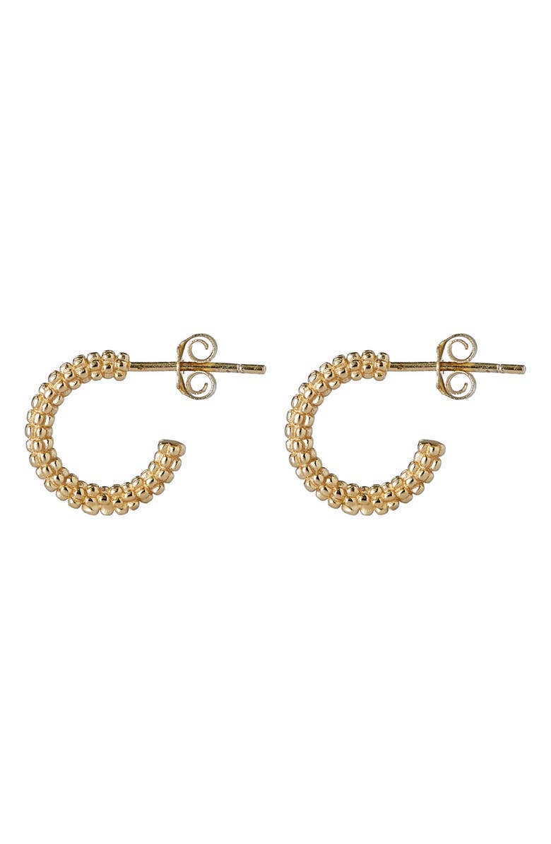ARGENTO VIVO Bead Texture Hoop Earrings, Alternate, color, 