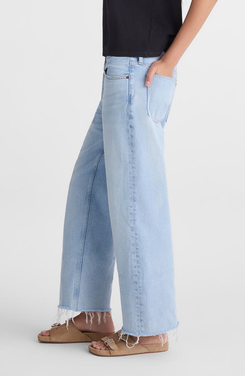 Madewell Low Slung Baggy Crop Jeans, Alternate, color, Foster Wash