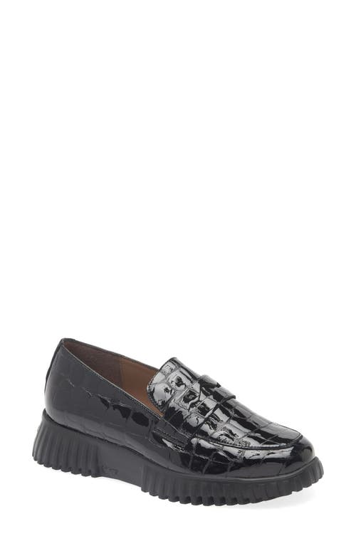 Wonders Flexfly 02 Loafer In Black