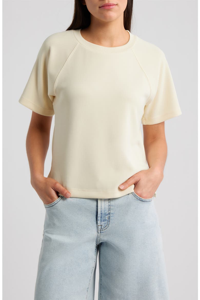 Raglan Sleeve T-Shirt, Main, color, PEARL