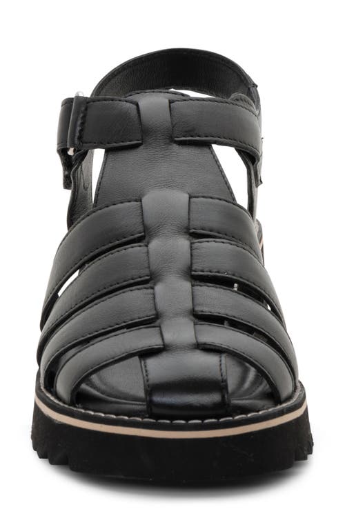 Ara Phoenix Sandal In Black