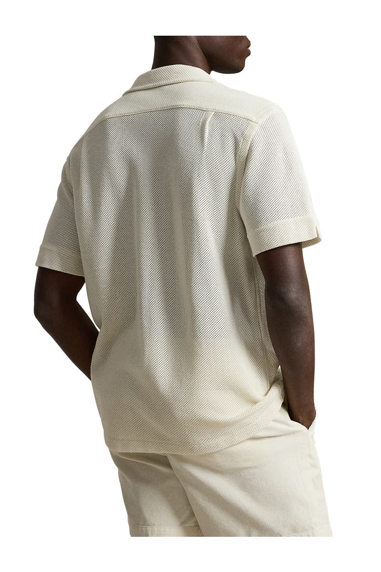 Big & Tall Pointelle Button-Down Polo Shirt, Alternate, color, PALE CREAM