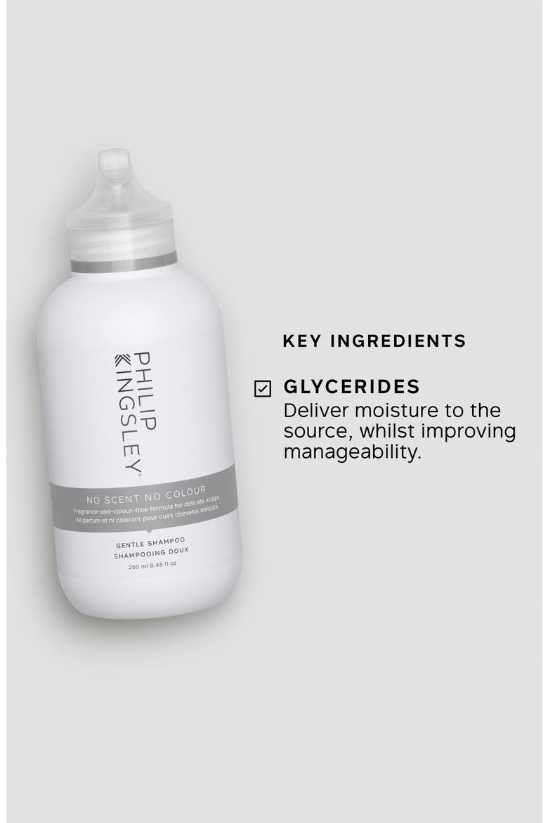 No Scent No Color Gentle Shampoo, Alternate, color, NO COLOR