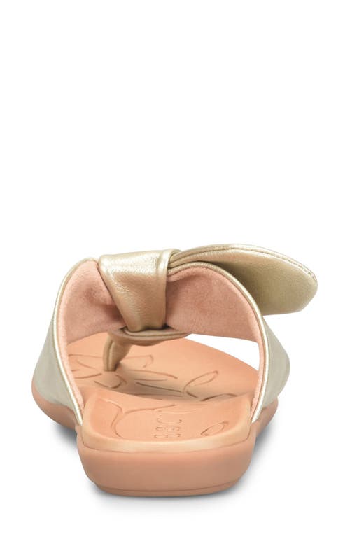 B O C By Børn Halle Sandal In Champagne