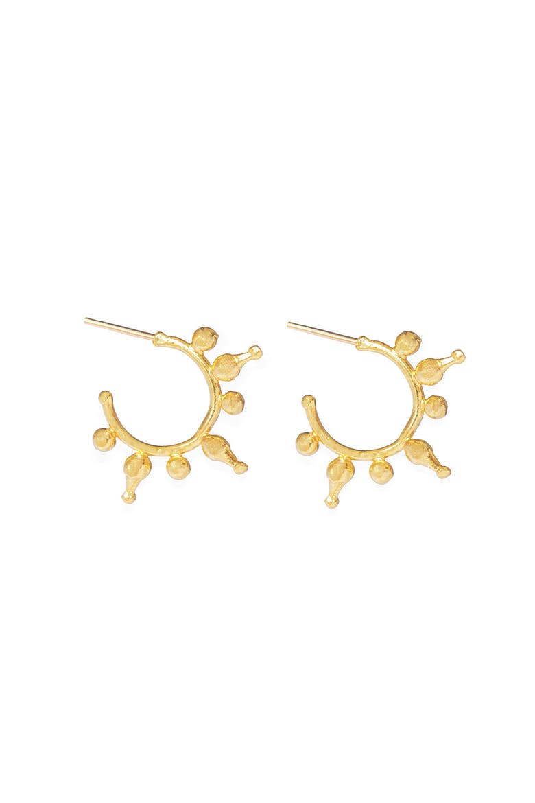 Jale Hoop Earrings, Main, color, Brass