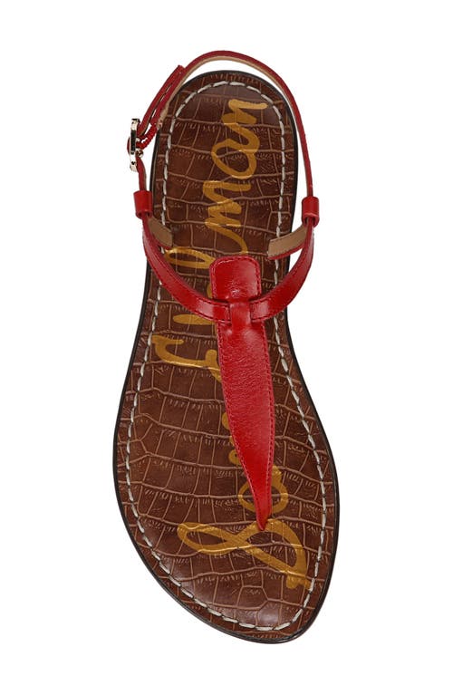 Sam Edelman Gigi Thong Sandal Summer Red Leather In Summer Red
