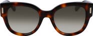 FERRAGAMO Rivets Tea Cup 51mm Butterfly Sunglasses