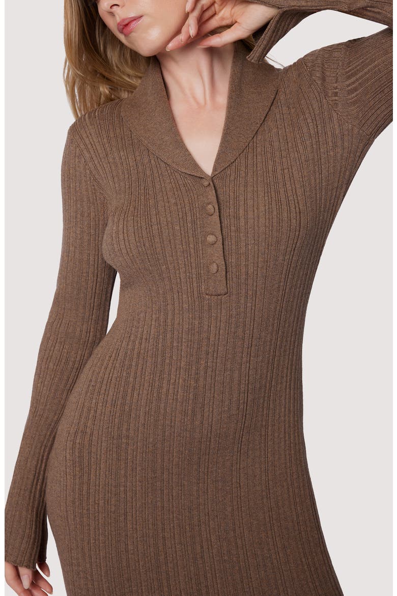 Viviette Long Sleeve Rib Maxi Dress, Alternate, color, SEPIA