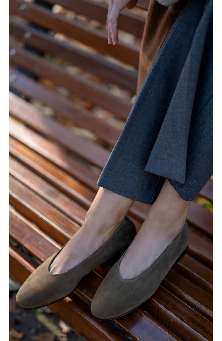 Menina Step Lucrecia Suede Ballet Flat, Alternate, color, Chestnut