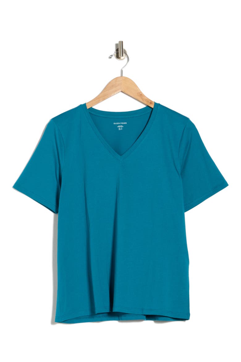 V-Neck Organic Cotton Knit T-Shirt, Alternate, color, DRAGONFLY