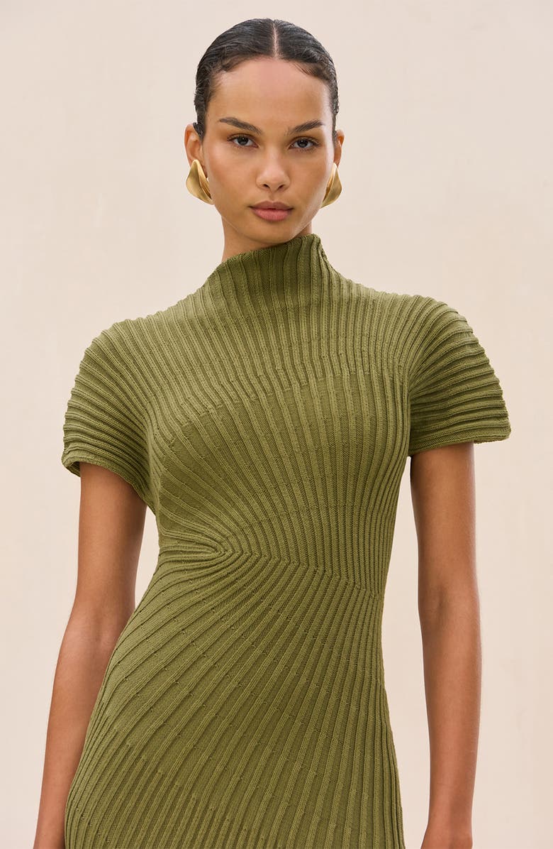 Cult Gaia Chrysta Turtleneck Rib Midi Sweater Dress, Alternate, color, Cedar