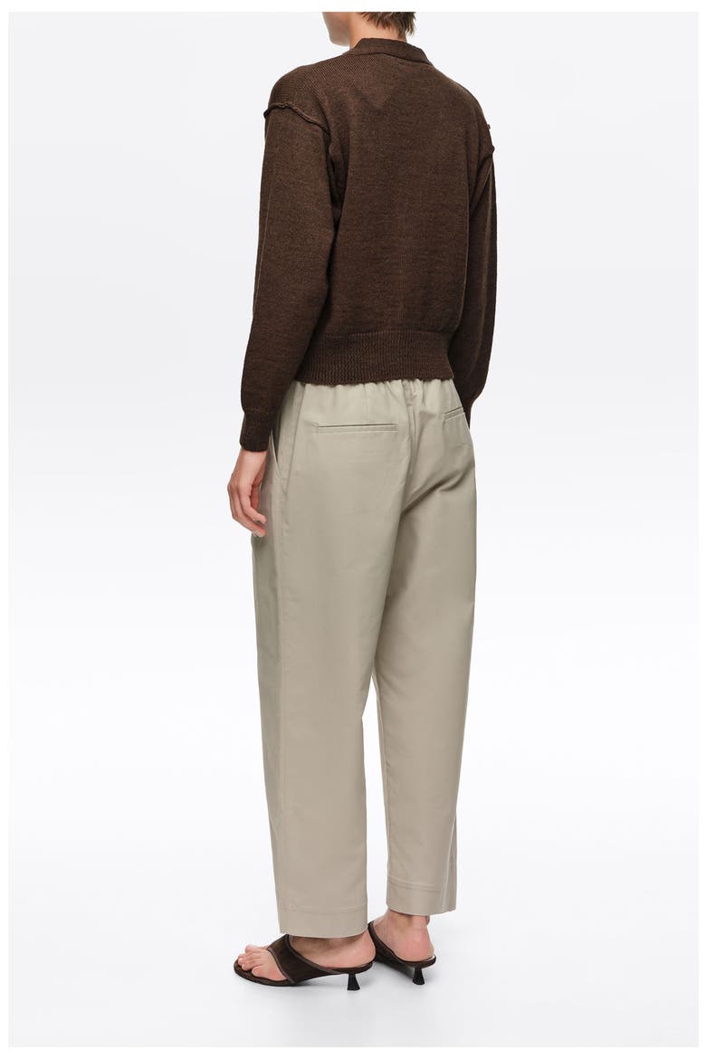 Straight-Leg Pleated Trousers, Alternate, color, LIGHT STONE