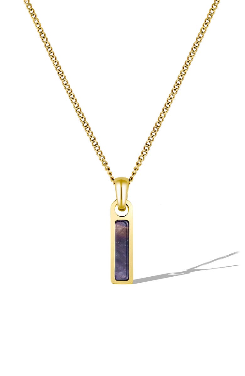 Vincero Men's Birthstone Pendant Necklace, Main, color, Gold - February