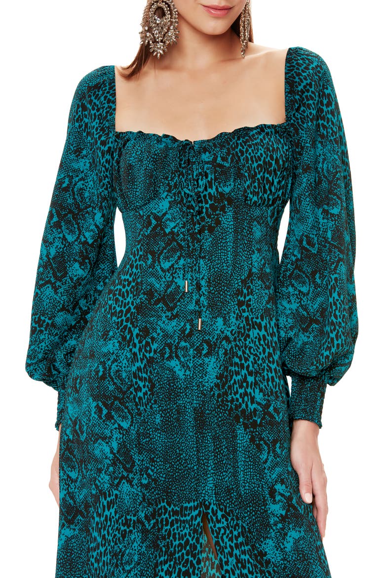 Lina Corset Midi Dress, Alternate, color, TEAL ANIMAL