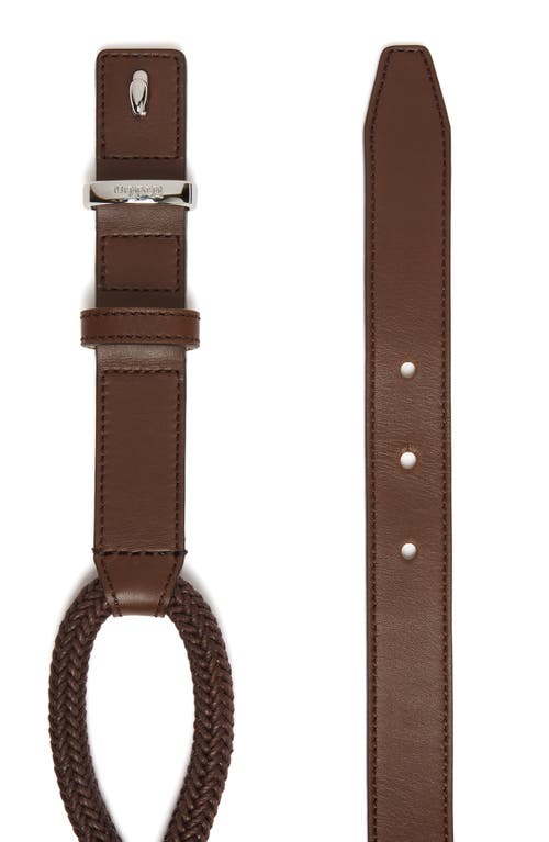 Shop Max Mara Rope Loop Leather Belt In Brown