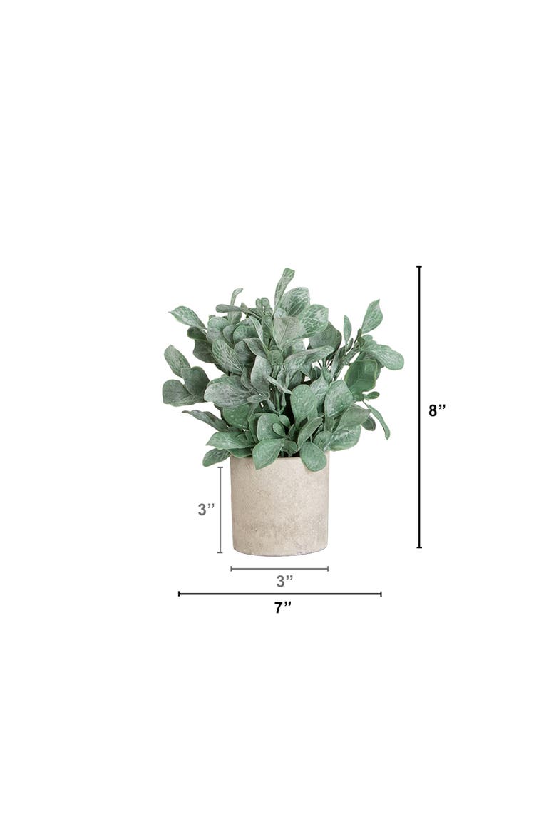 8-in Artificial Lambs Ear in Decorative Planter - Set of 3, Alternate, color, Green