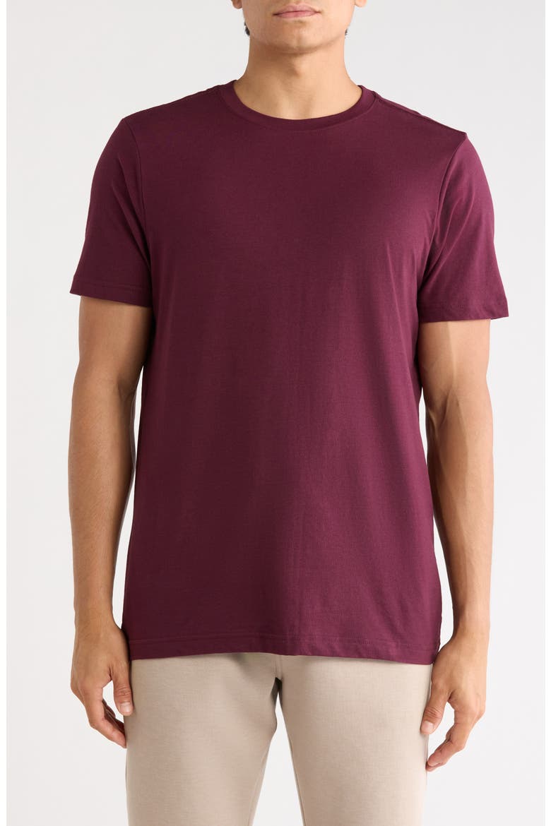 Glacier Crewneck T-Shirt, Main, color, WINE TASTING