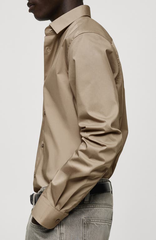 Mango Regular Fit Stretch Poplin Button-up Shirt In Medium Brown
