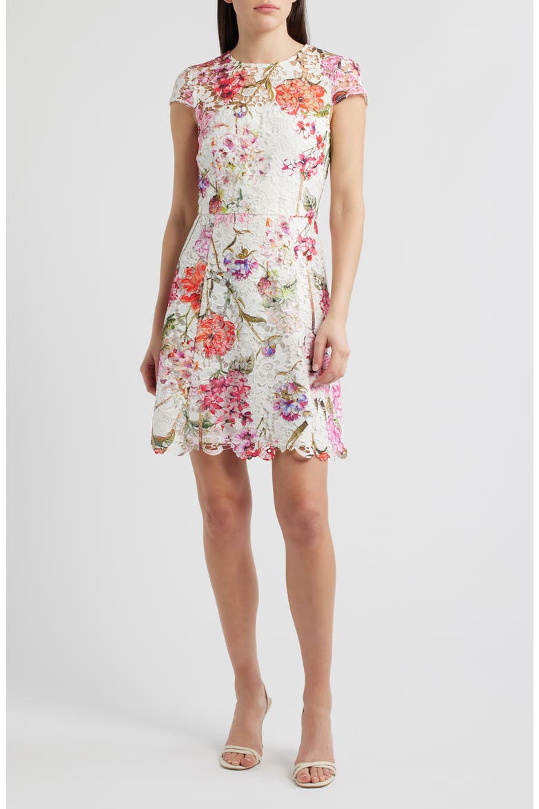 eliza j lace sheath dress Eliza J Women's Floral Lace Sheath Dress - Red