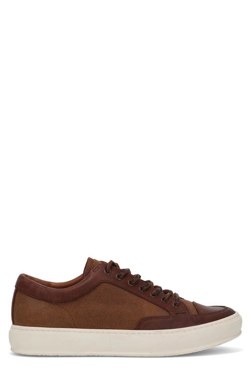 Frye Hoyt Low Water Resistant Sneaker In Brown