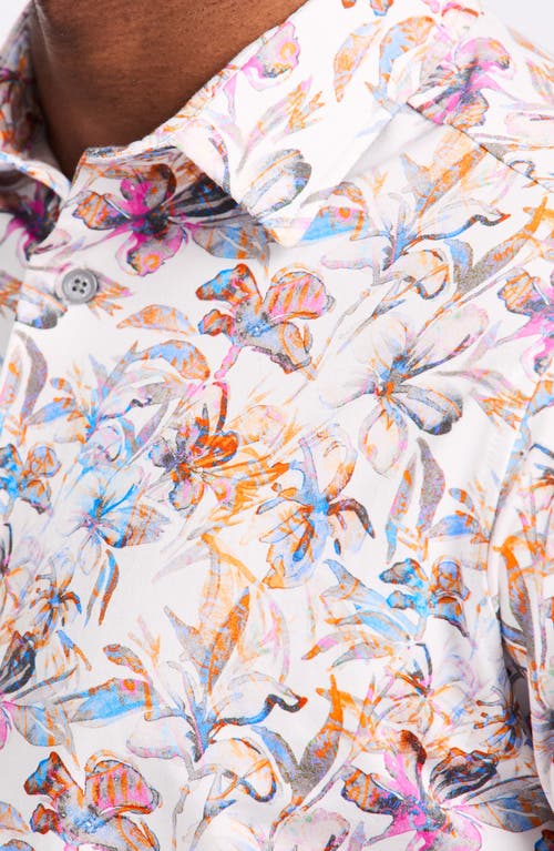 Shop Robert Graham Short Sleeve Stretch Cotton Button-up Shirt In White