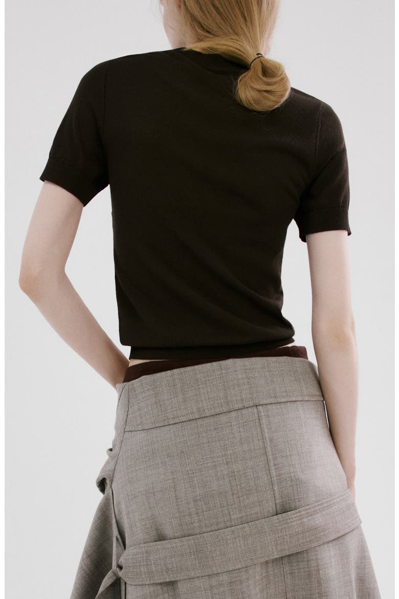 Short Sleeve Sweater, Alternate, color, BROWN