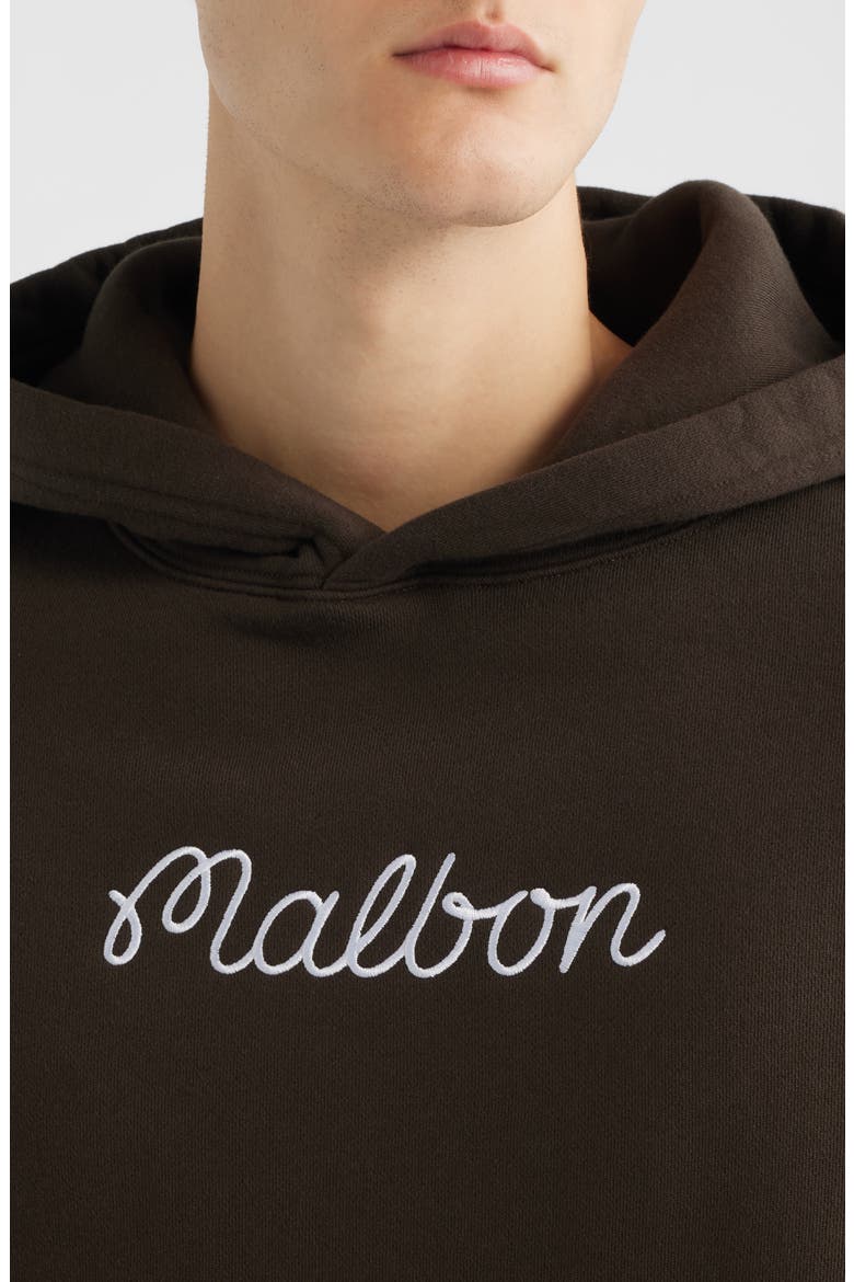Fesque Logo Embroidered Hoodie, Alternate, color, BROWN