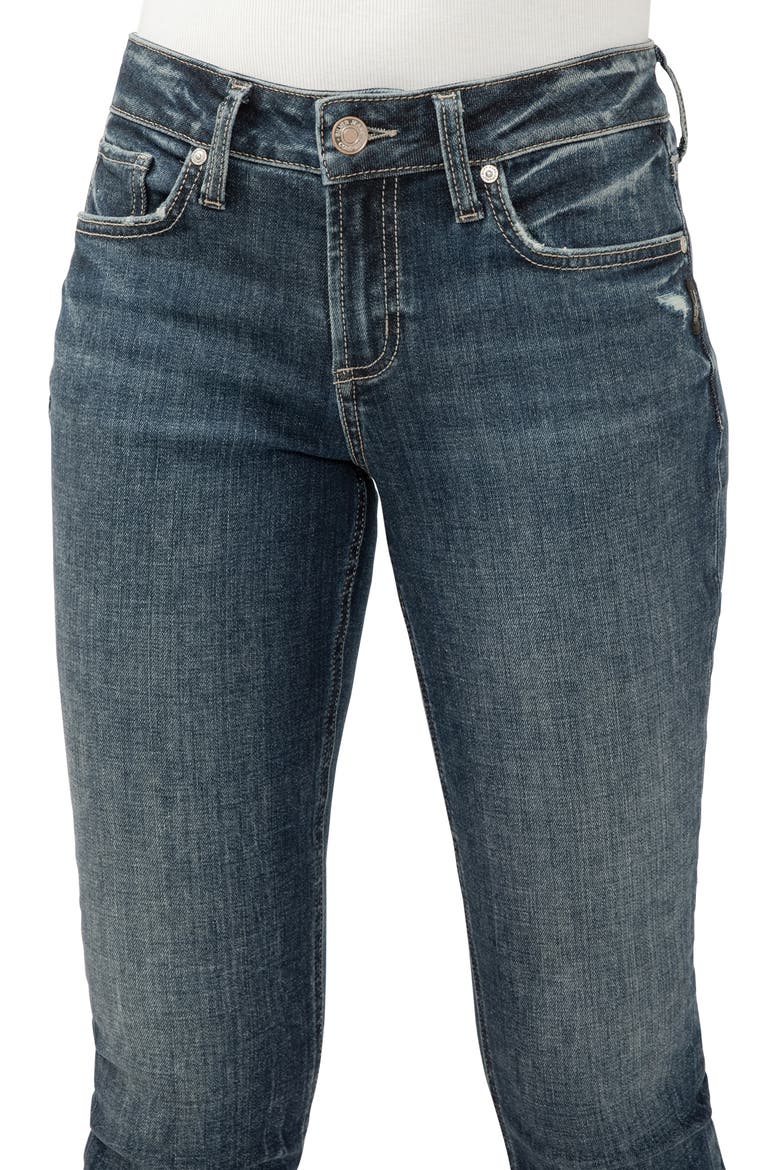 Suki Curvy Mid Rise Crop Straight Leg Jeans, Alternate, color, CHORD