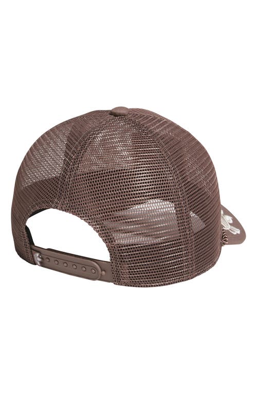 Adidas Originals Adidas Gender Inclusive Major Mesh Trucker Cap In Brown