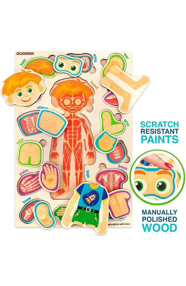 Quokka Human Anatomy Learning Puzzles for Kids, Alternate, color, Body Parts