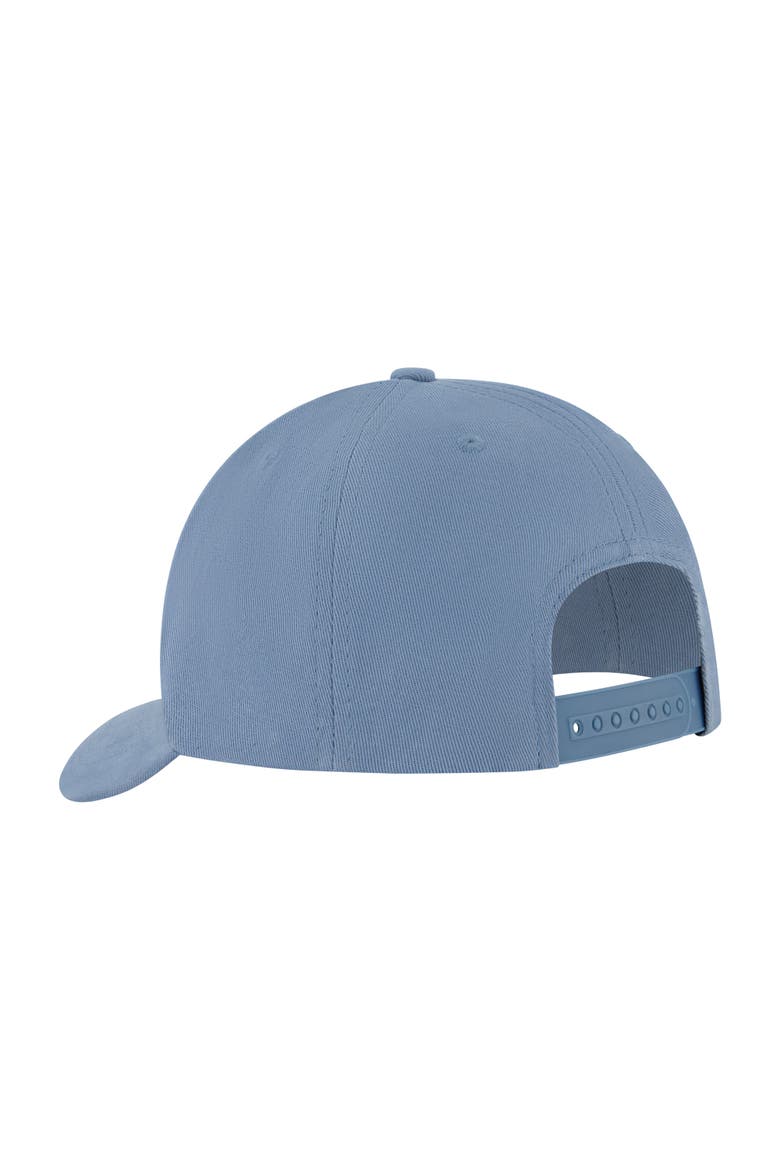 Tree Logo 2.0 Snapback Cap, Alternate, color, LIGHT BLUE
