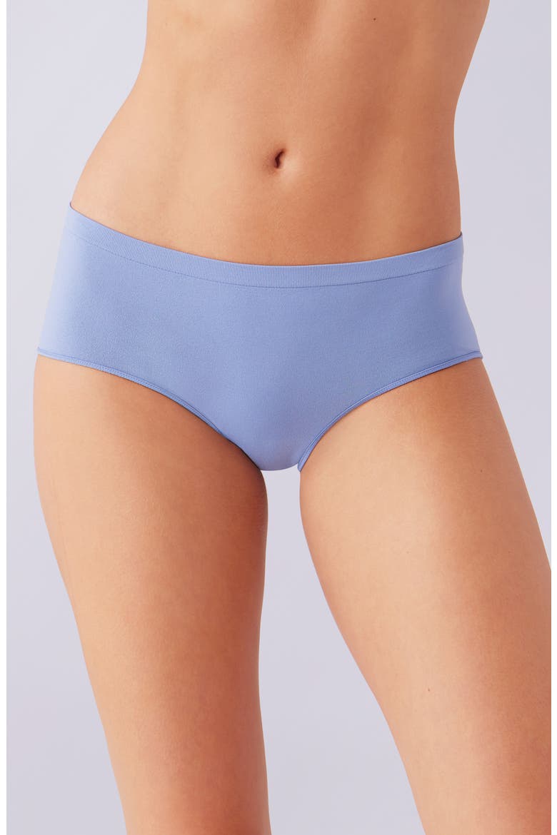 Comfort Intended Daywear Hipster Panties, Main, color, COUNTRY BLUE